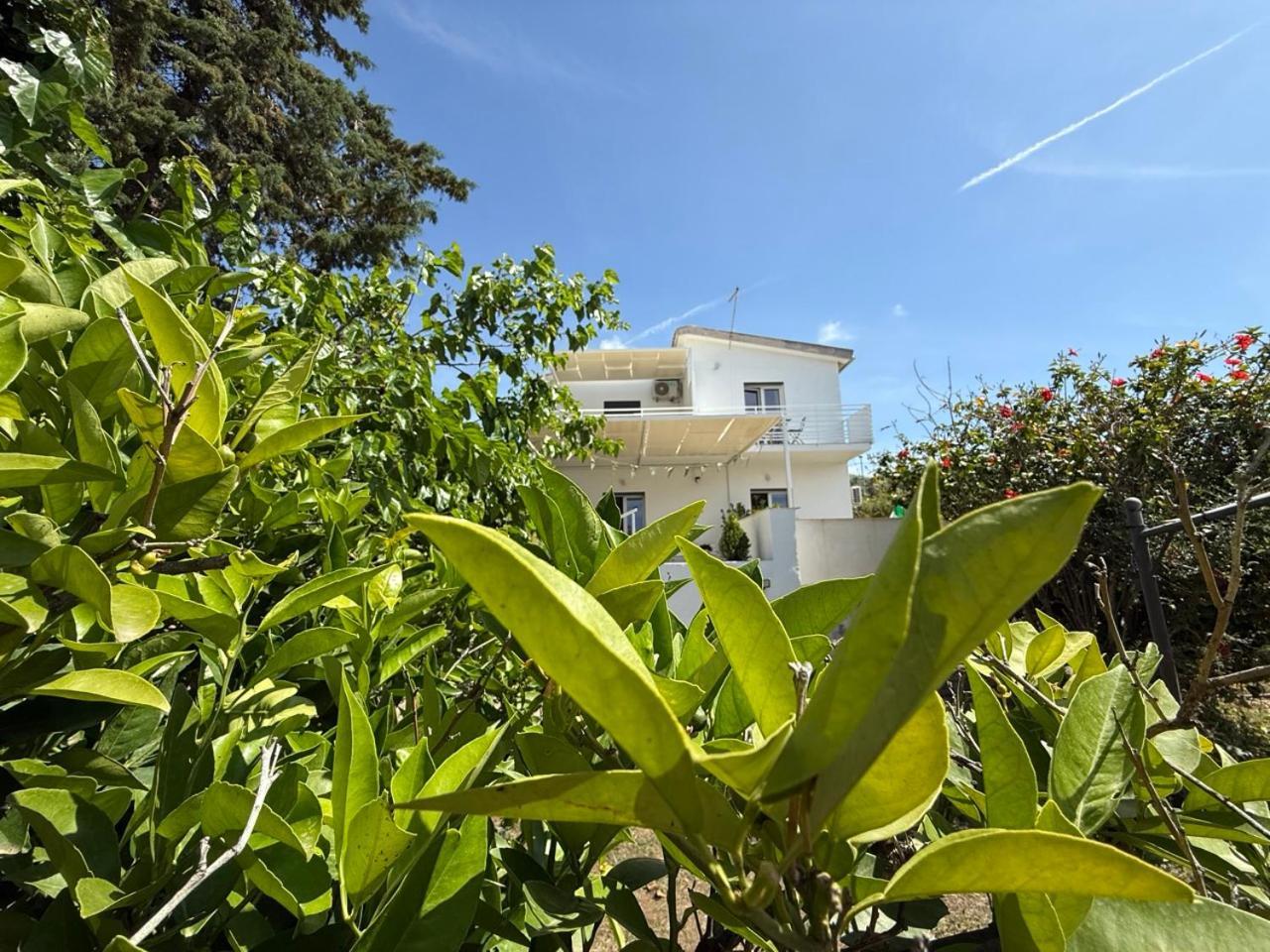 Gasthaus Terra Di Mare Agrigent Exterior foto